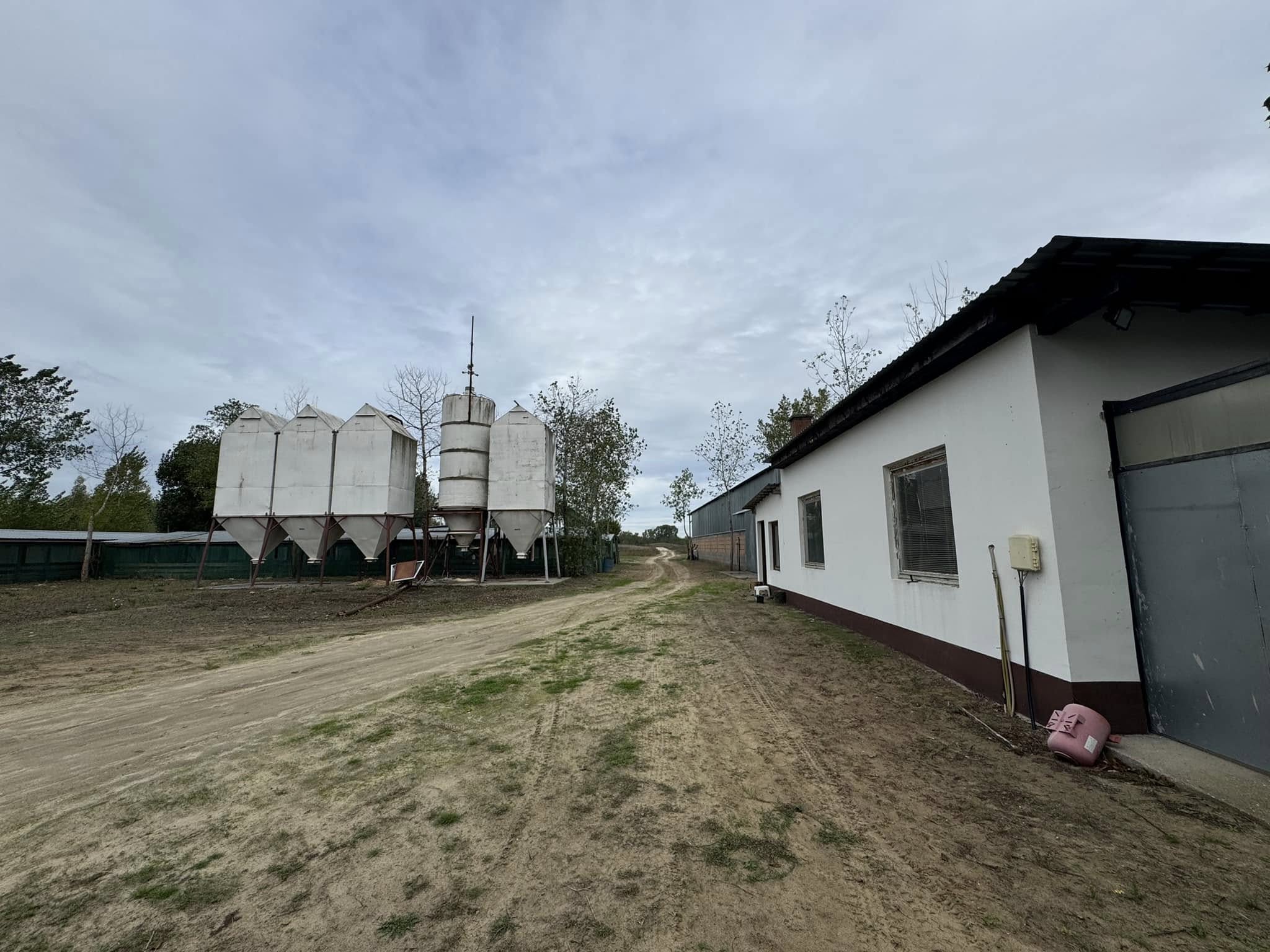 4 hektáros állattartó/liba telep