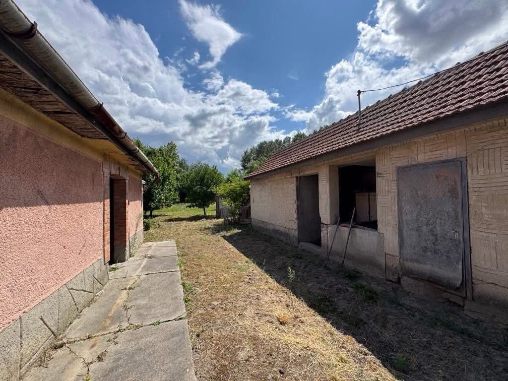 Családi ház 5000m2-es telken.